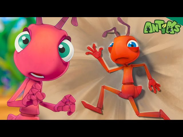 Blocked! Can Joey & Boo Make It Through? | Hebrew Cartoons for Kids | Anime | Antiks In Hebrew