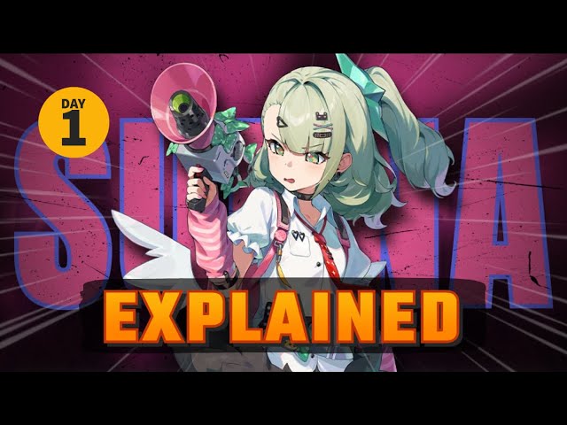 Sunna Kit Explained Day 1 [Zenless Zone Zero]