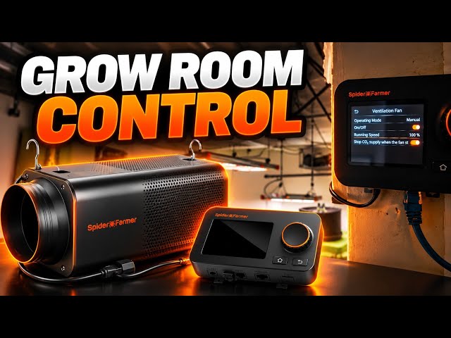 I Planted the First Seed! Spider Farmer GGS Grow Room Tour & Setup
