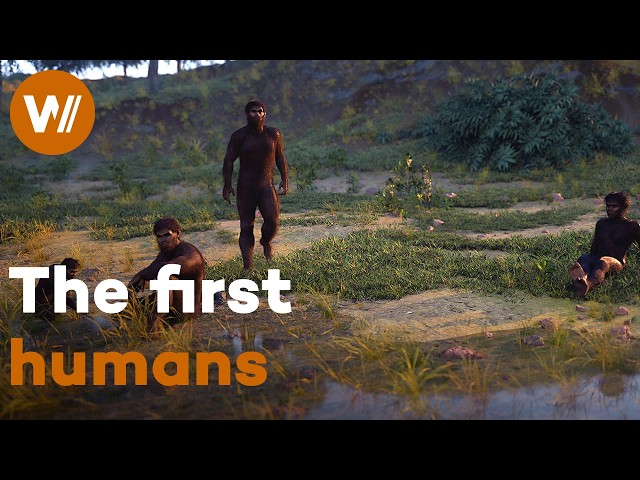 How did Humankind Emerge? On the Trail of the First Human at Kromdraai in Africa (Full Documentary)