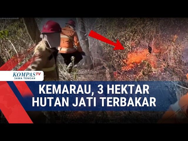 Drought, 3 Hectares of Teak Forest Burned