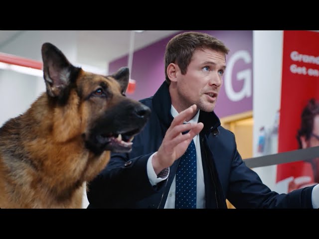 Hudson & Rex | Bank Robbery | Season 3