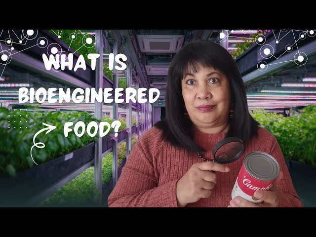 I have the answers about Bioengineered Food. #bioengineering #laboratory 
