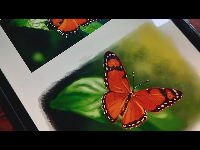 Art Journey with Nayan is live - Drawing a butterfly. Digital sketch
