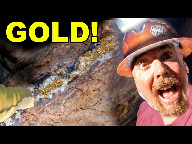 We Opened an Old GOLD Mine, You Won't Believe What We Found.