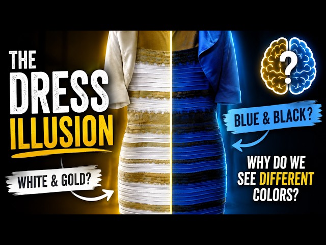 The Dress Illusion - White & Gold Dress Illusion