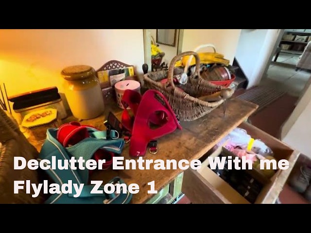 Decluttering The Entrance To House | Flylady Zone 1