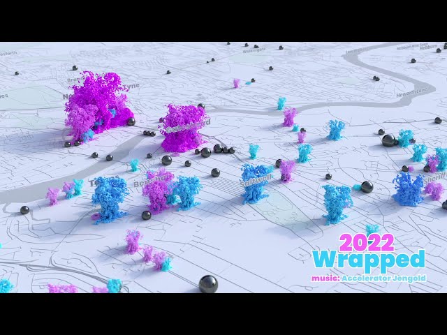 2022 Wrapped - Data Visualisation