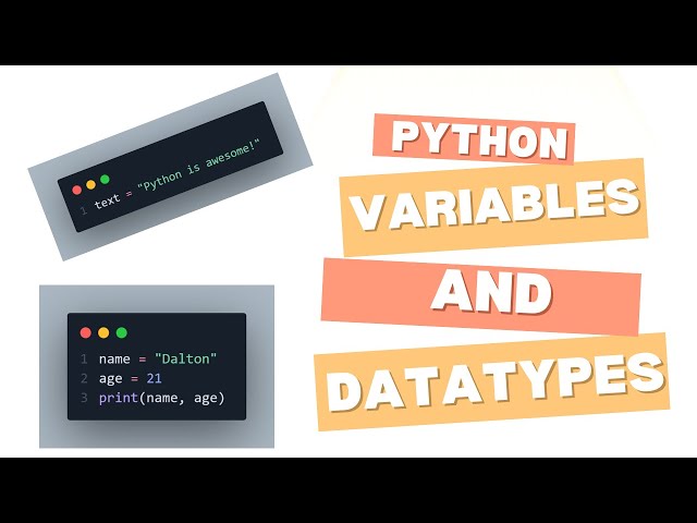 Introduction to Variables & Data Types in Python 🚀 | Dalton Codes Daily
