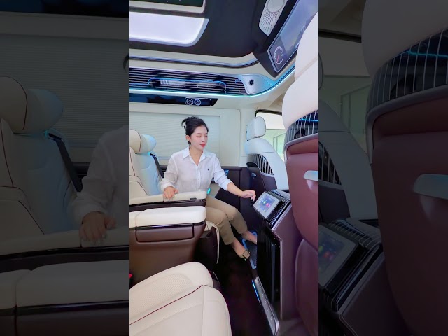 The Mercedes-Benz Sprinter 9-seater can also be registered with a blue license plate and driven