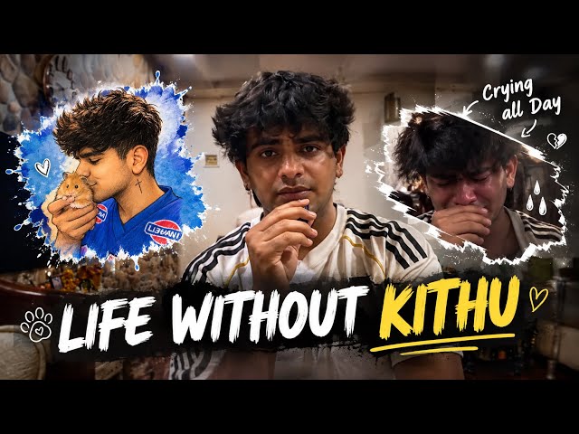 LIFE WITHOUT KITHU THE HAMSTER - SPECIAL TRIBUTE VLOG!🐹