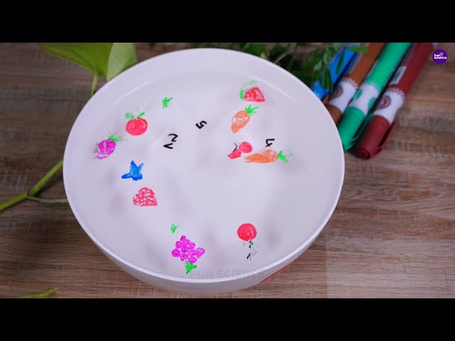 8 Fun STEAM and STEM Activities  for Kids - PART 1