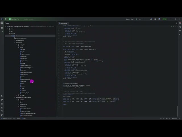 HexaGen: SQL to Hexagonal Java