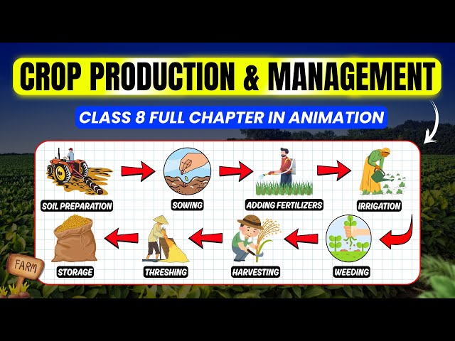 Class 8 Science | Crop Production and Management | Full Chapter Explained 🌱👨‍🌾