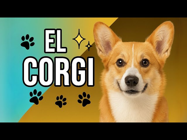 CORGI: Characteristics, Care, and Fun Facts!
