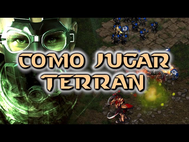 BEGINNER Terran vs Zerg TUTORIAL - Rank F-E-D
