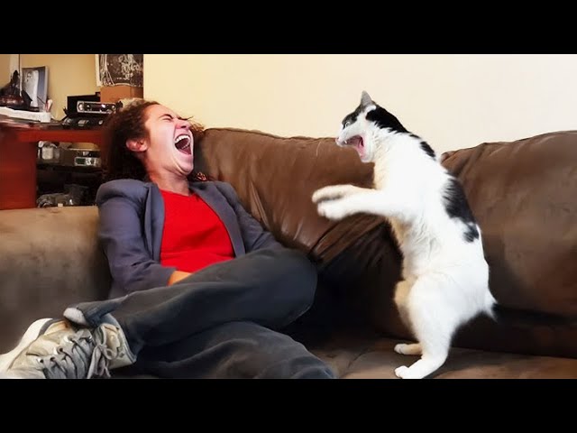 One in a Billion DRAMATIC CAT Moments 😄😸