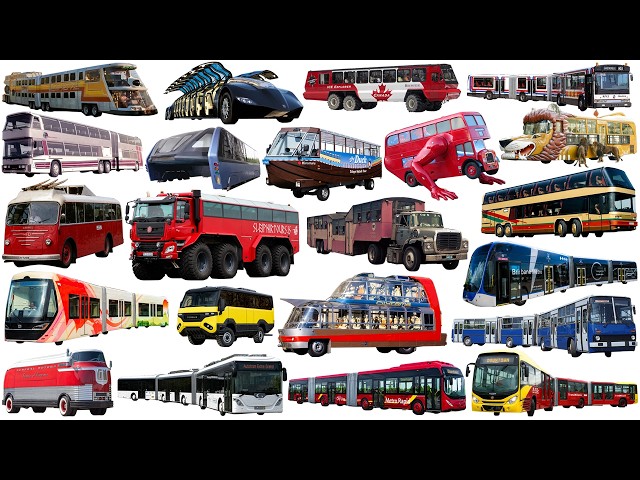 STRANGEST BUSES, BIGGEST and LONGEST Buses  | Big bus, Superbus - Learning Vehicle Types of Bus