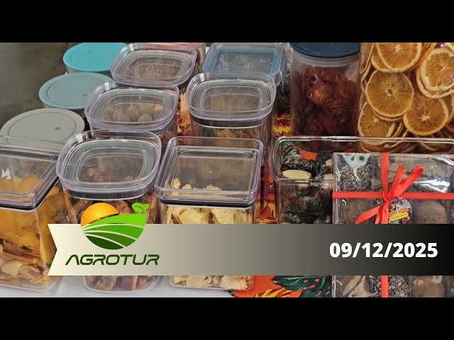 AgroTur: Family farming, rural products in the city, rural infrastructure and record harvest.