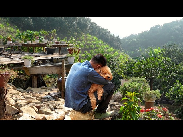 A Heartbreaking Turn on an Orphan Boy’s Journey to Build a Home