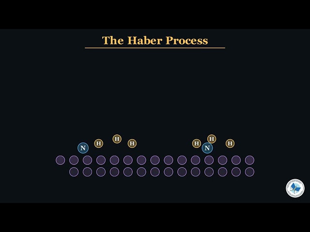 Class 12 Chemistry Chapter 18 | Transition Metals As Catalysts