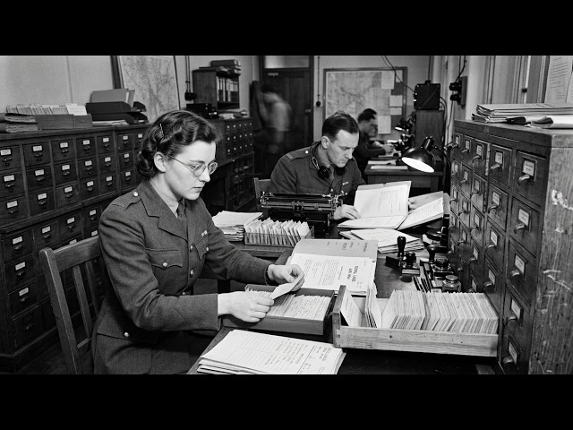 How TEXTA Card Files Turned Thousands of Raw Signals Into Usable Intelligence