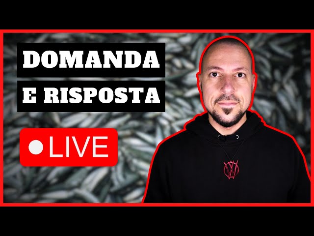 Domanda e risposta in diretta sulla dieta carnivora