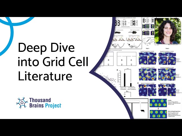 07/2026 - Deep Dive into Grid Cell Literature