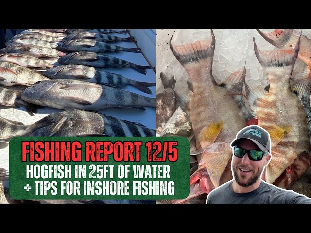 Fishing Report 12-5-2025 | Hogfish in 25ft of Water? Plus Inshore Secrets for Bad Weather Days!