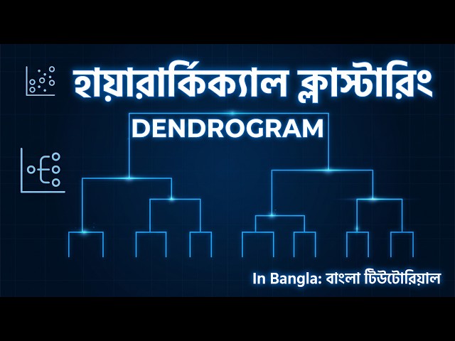 Hierarchical Clustering Explained in Bangla