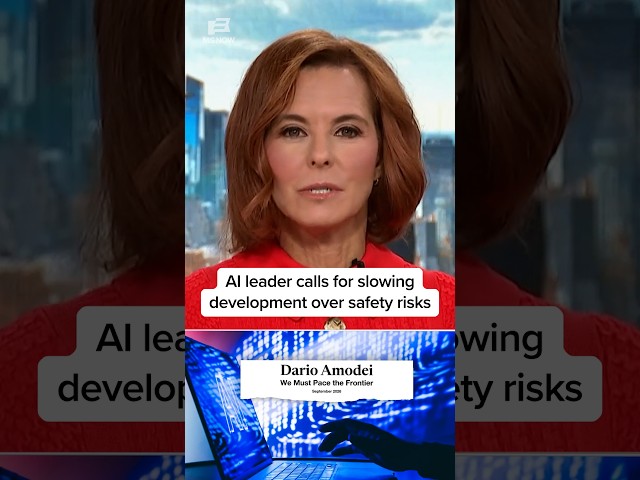 AI leader calls for slowing development over safety risks