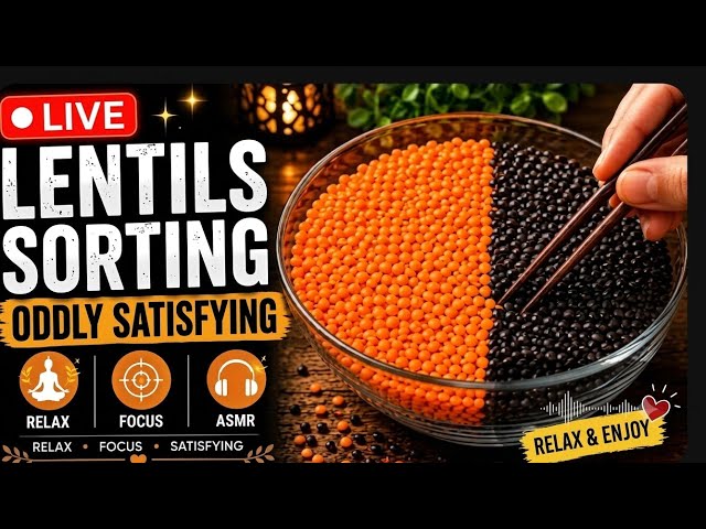 ASMR Red & Brown Lentil Sorting 🌾 | Deep Relaxation & Satisfying Sounds (No Talking)#Shorts#ASMR