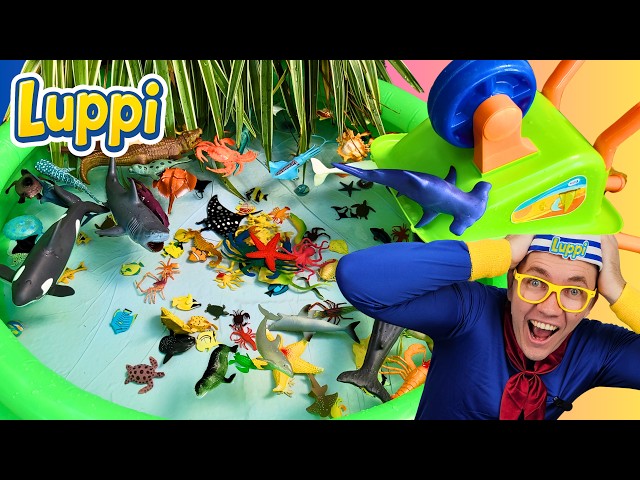 Explore Sea Animals for Kids! 🦈 Fun Ocean Facts with Luppi