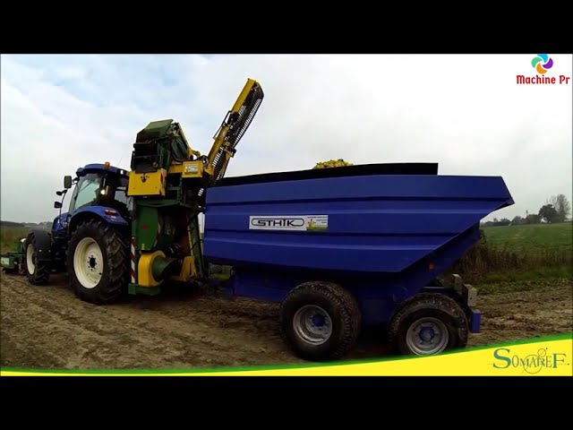 Amazing Modern Apple Processing Factory   How To Farming Harvest Fruit & Product Process Incredible