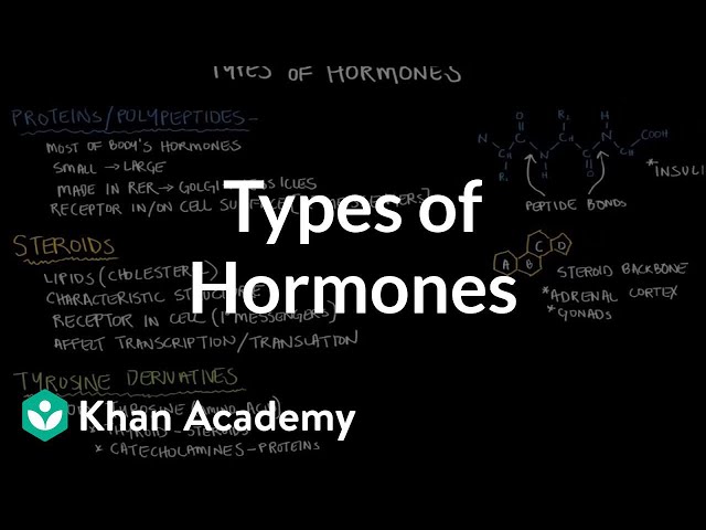 Types of hormones | Endocrine system physiology | NCLEX-RN | Khan Academy