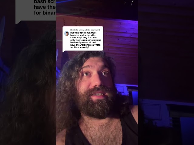 why executing programs on linux is not specific to binary files only.