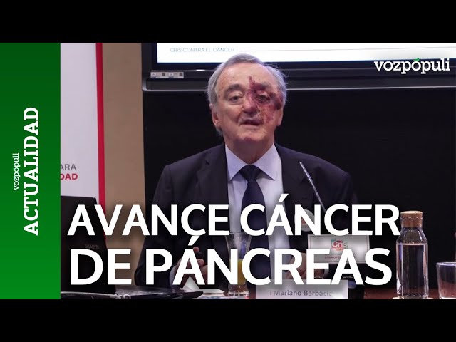 CNIO researchers eliminate pancreatic cancer in mice for the first time