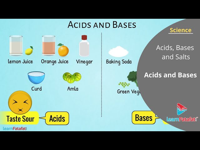 Acids Bases and Salts Class 7 Science Chapter 5 - Acids and Bases