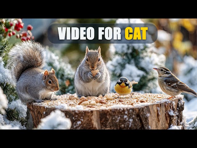 Winter Cat TV 😺🐦 An Amber Symphony with Birds, Chipmunks and Squirrels 🐿 Cat Games 4K HDR