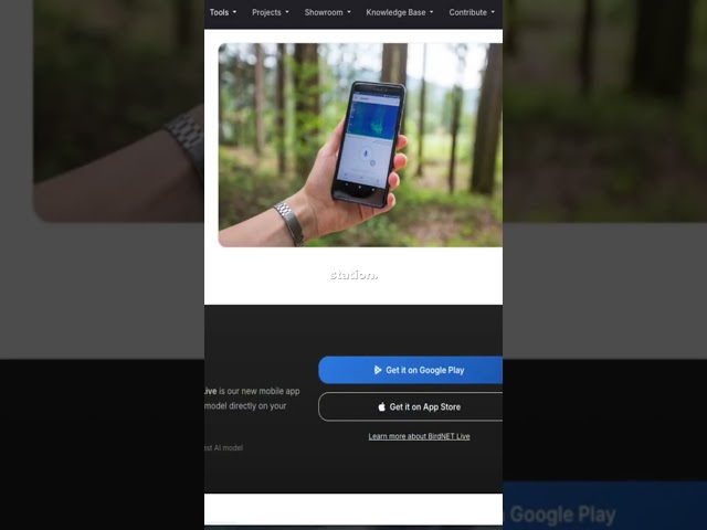 Turn Your Server into an AI Bird Detector! 🐦