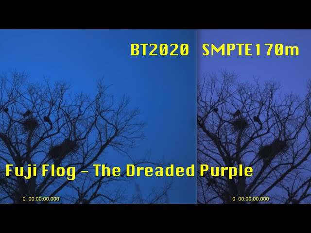 The Dreaded Purple: Colour Shifts In Flog Explained (and fixed)