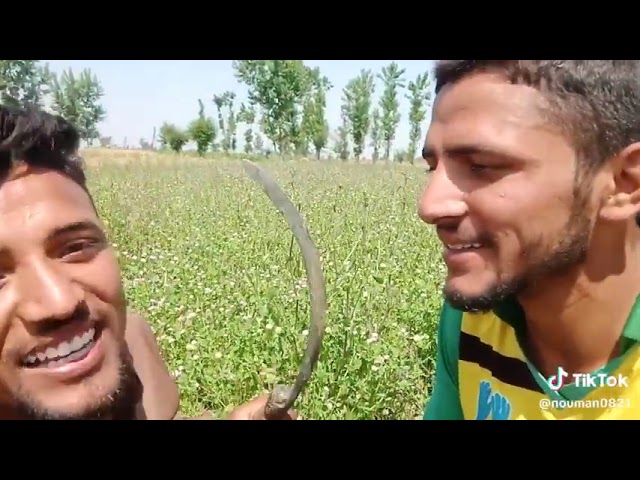 Vlog Tami Bhatti 🌷😜