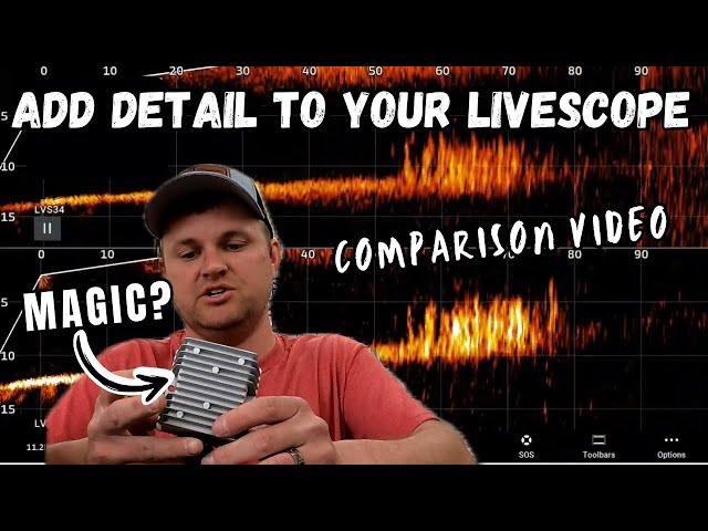 Add Detail With A Visualizer To Your Livescope!