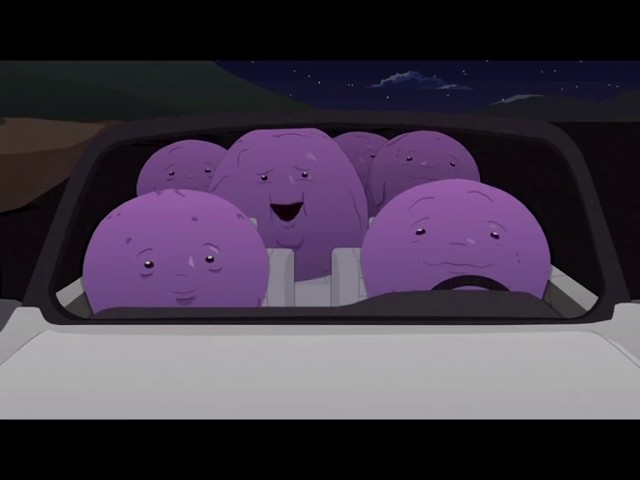 South Park, Erinner Beeren, Staffel 20, Folge 6