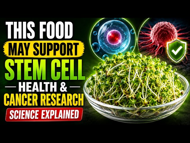 This Food May Support Stem Cell Health & Cancer Research | Science Explained