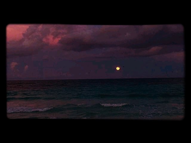 Vampire Weekend - Cape Cod Kwassa Kwassa (Subtitulada Esp - Lyrics)