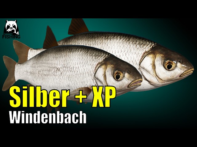 RF4 Silver and XP with hake - Russian Fishing 4 - Windenbach with float on hake #rf4