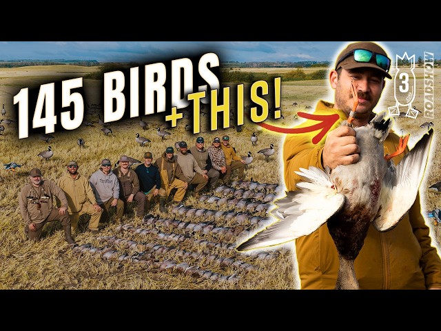 145 BIRDS! Insane Ducks, Cranes, & Geese Combo Hunt + A Banded Mallard | #ROADSHOW26 HUNT 3