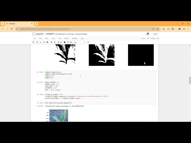 Corn Plant Leaf Diease Classification in Python Projects