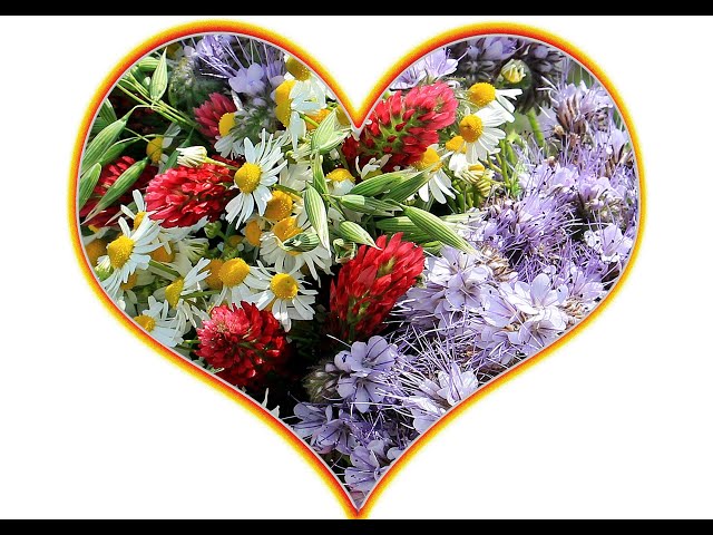 Most Beautiful Emotional Romantic Classical Piano